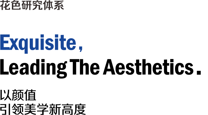 花色研究体系