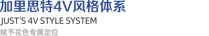 加里思特4V风格体系