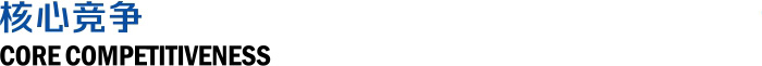 核心竞争